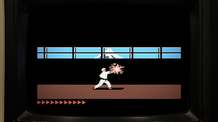 You are the ultimate Birb Puncher! You are the ultimate Birb Puncher!